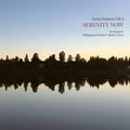 Pre-Order: Karin Hammar Fab 4 - Serenity Now [LP]