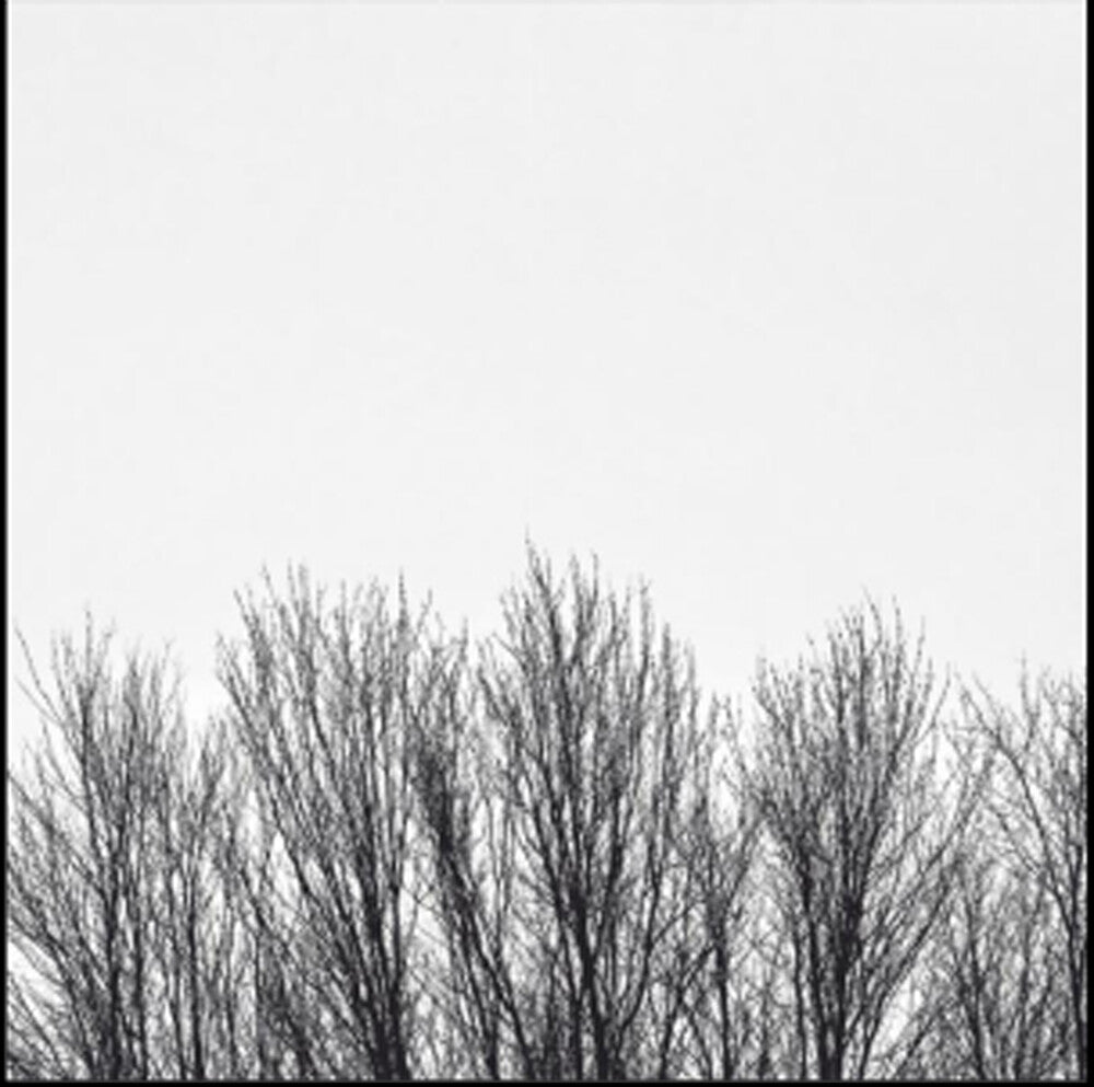 Pre-Order: Northwoods Improvisers - White Sky [CD]