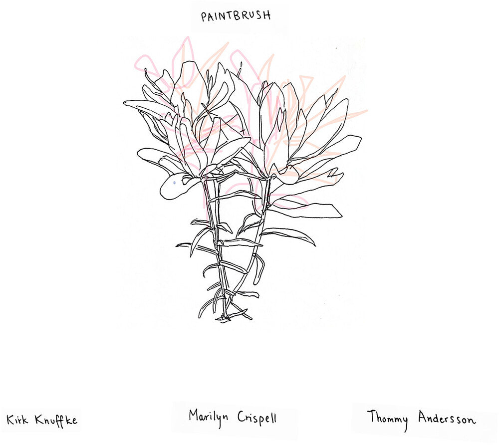 Pre-Order: Kirk Knuffke - Paintbrush [CD]