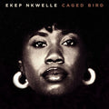 [PRE-ORDER] Pre-Order: Caged Bird [LP] Vinyl Record