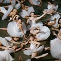Pre-Order: Jigitz - 50 Ballerinas [CD]