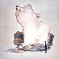 Pre-Order: Now It's Overhead - Fall Back Open [Ecomix]