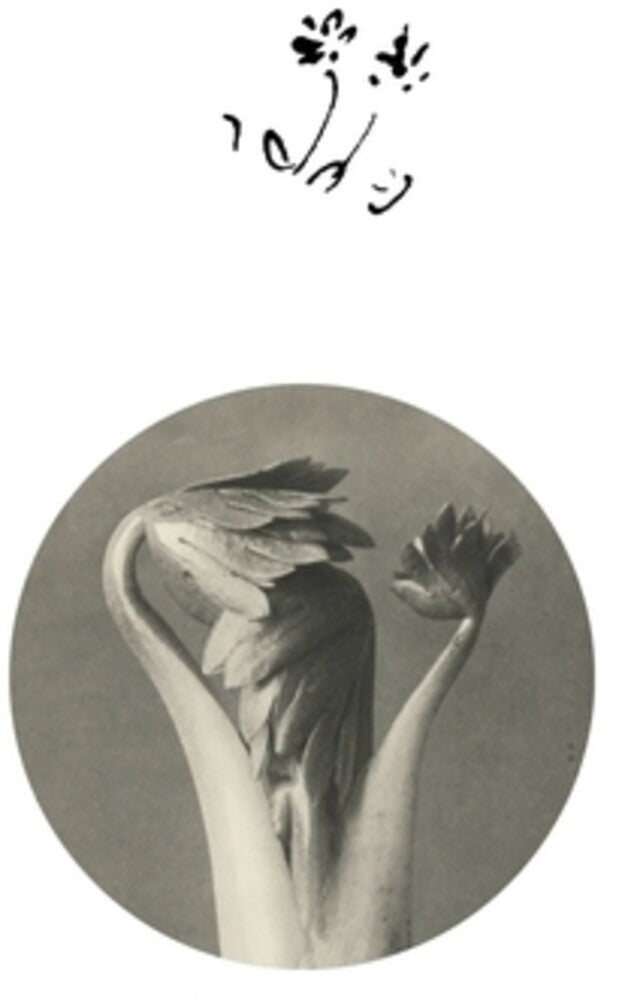 Pre-Order: Returning Sweetness (Eversines) - Longevity Eyebrow [12" Vinyl]