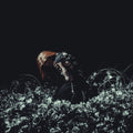 Pre-Order: Kami Kehoe - Love Is A Weapon (Mod) [CD]