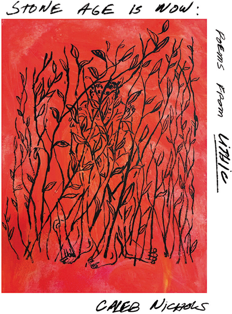 Pre-Order: Caleb Nichols - Stone Age Is Now: Poems From Lithic [LP]