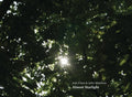 Pre-Order: Jem Finer  / Matthias,John - Almost Starlight [CD]