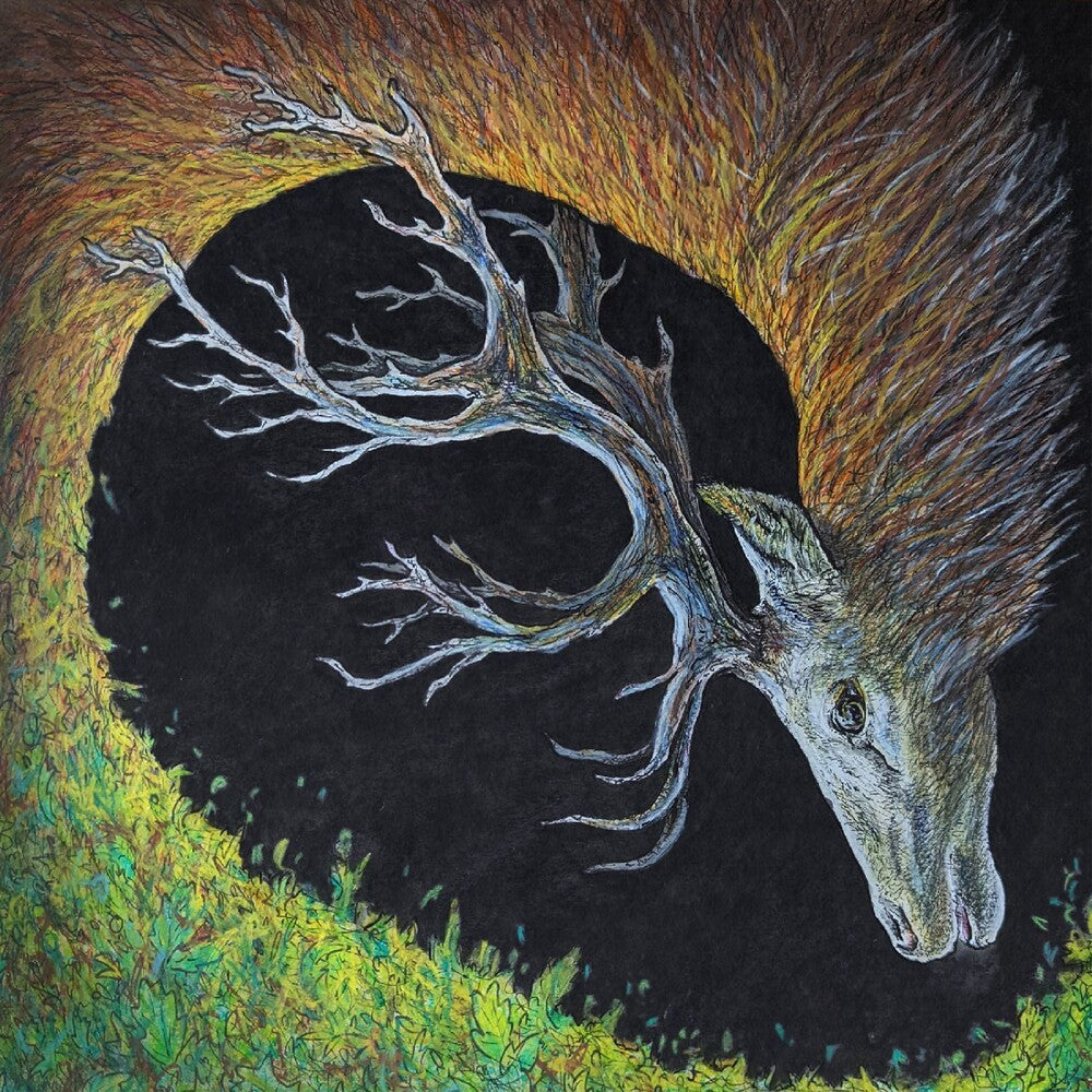 [PRE-ORDER] Pre-Order: Infangthief - Clear Black Smoke (Blk) [Clear Vinyl] [Deluxe] Vinyl Record