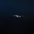 [PRE-ORDER] Pre-Order: Paradise [LP] Vinyl Record