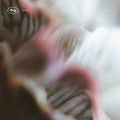 Vnnn - Tech042 (Ep) [12" Vinyl] Vinyl Record