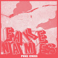 Pre-Order: Fake Names - Punk Ruins Music CD