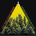 Pre-Order: Let The Light Shine [LP] Vinyl Record