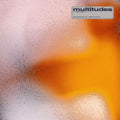 Rhode & Brown - Multitudes [LP] Vinyl Record