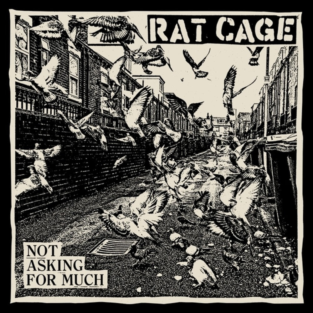 Pre-Order: Rat Cage - Not Asking For Much [LP] Vinyl Record