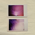 Pre-Order: Chorus Pedal - Missed Opportunity For The World [LP] Vinyl Record