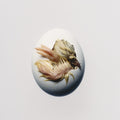 Pre-Order: Shygirl - SWALLOW! Music CD