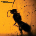 Pre-Order: Sleepwalk - View From The Outside Music CD