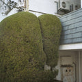 Pre-Order: Marja Ahti  / Mccowen,John - Errands [LP] Vinyl Record
