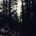 Pre-Order: Allison Graves - I Still Look For The Mountains [LP] Vinyl Record