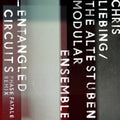 Pre-Order: Chris Liebing / Alte Stuben Modular Ensemble - Entangled Circuits (Phase Fatale Remix) (Ep) [12" Vinyl] Vinyl Record
