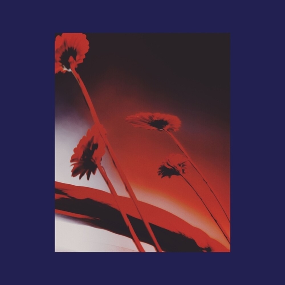 PRE-ORDER: Nothing Ever Was: Compiled By Dj Sundae / Var [LP] Vinyl Record