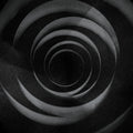 Pre-Order: Cult Of Luna - In The Shadow Of Your Shadow (Gate) [LP] Vinyl Record