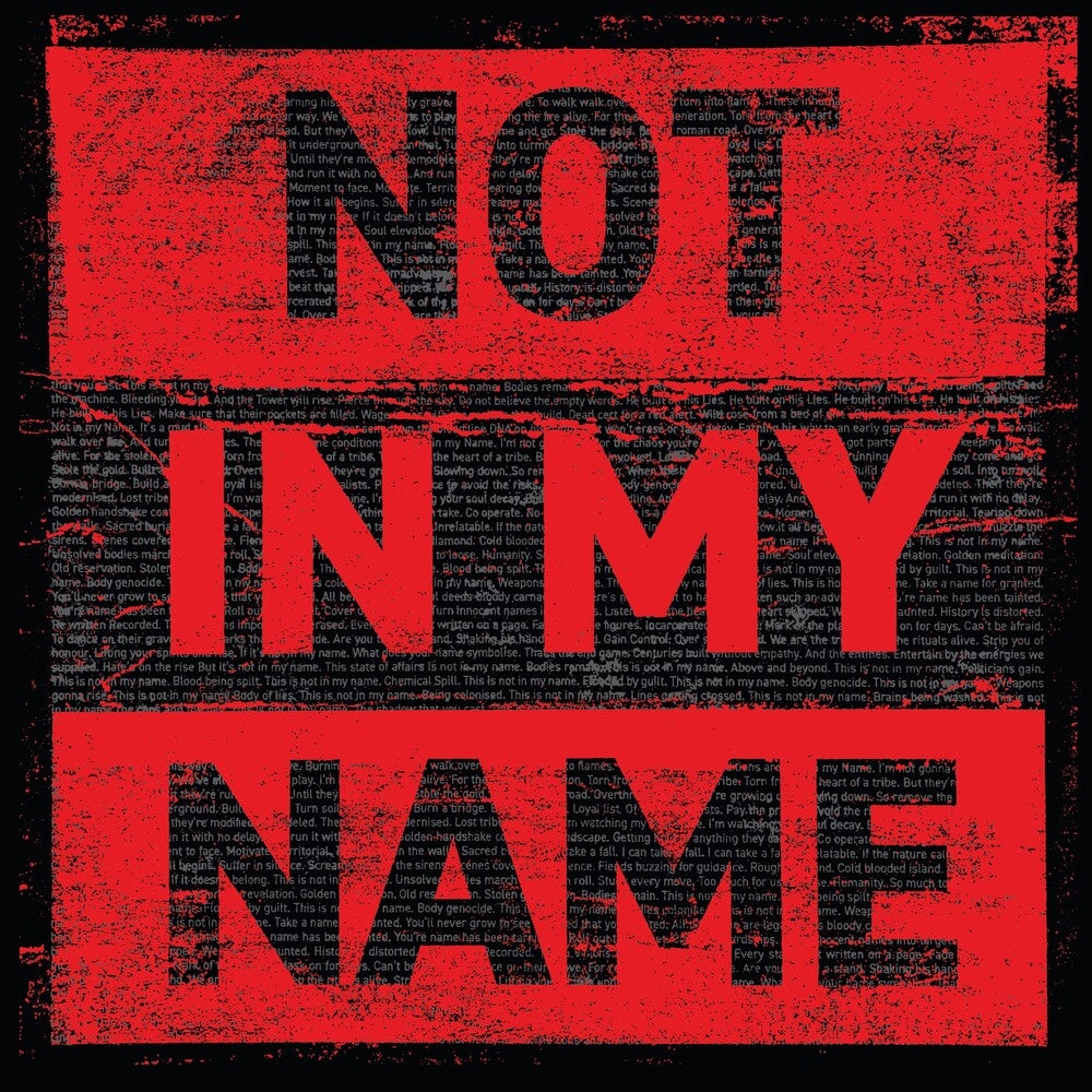 Pre-Order: Not In My Name [LP] Vinyl Record