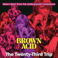 Pre-Order: Brown Acid - The Twenty-Third Trip / Various - Brown Acid - The Twenty-Third Trip / Various [LP] Vinyl Record