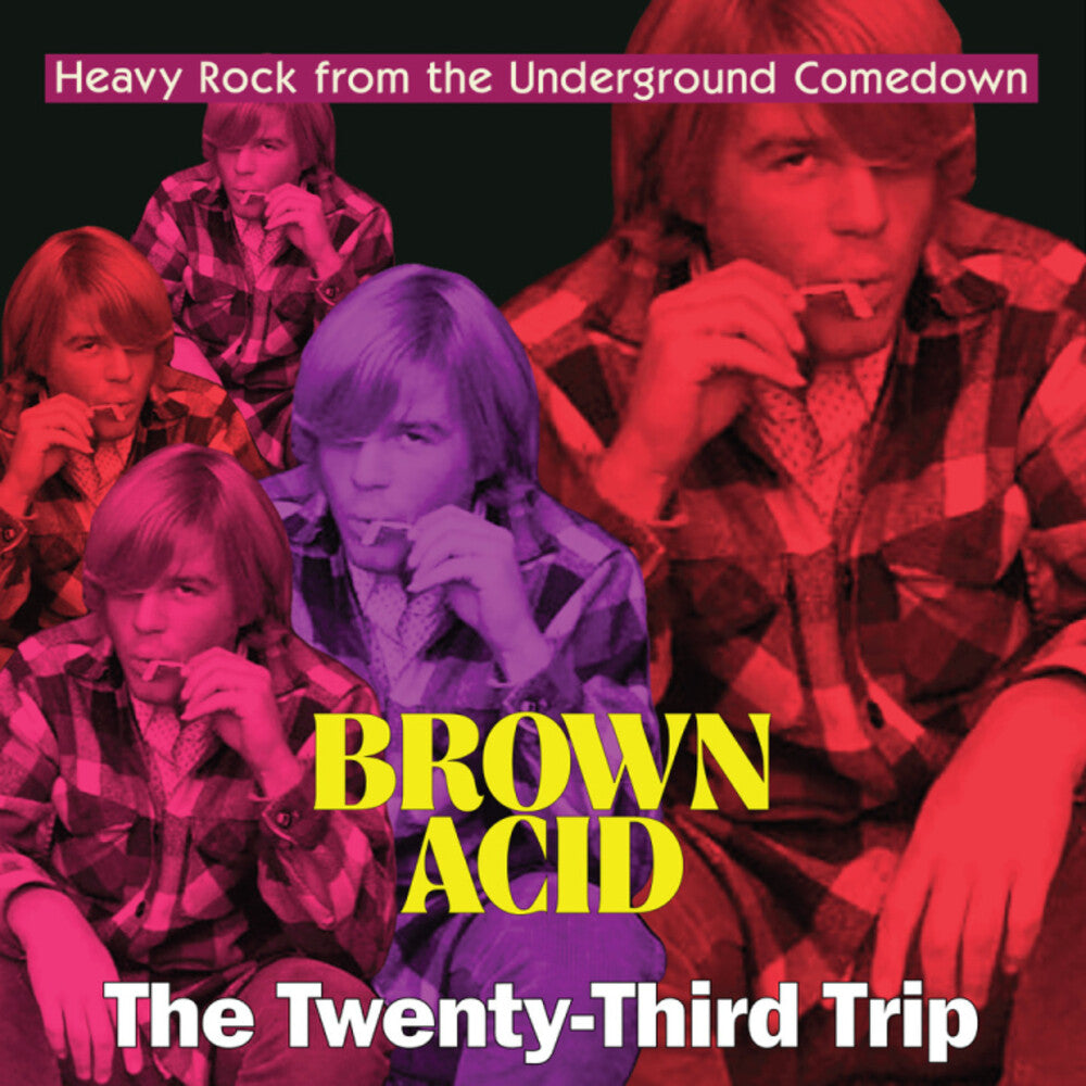 Pre-Order: Brown Acid - The Twenty-Third Trip / Various - Brown Acid - The Twenty-Third Trip / Various [LP] Vinyl Record