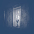Pre-Order: Chris Herbert - Grisaille Music CD