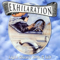 Exhilation: Light Music With A Lilt / Various - Exhilation: Light Music With A Lilt / Various - Music CD