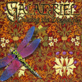 Galadriel - Chasing The Dragonfly - Music CD