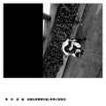 Michinori Toyota - Kekkon Shussan Rikon Hikkoshi Sensou Nyuin Souzo (LP/CD)