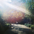 Kimyo (Strange Reitaro) Reitaro - Humming Bird (Transparent Gold LP Vinyl/Insert/Japanese Import)