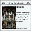 Reger / Kaiser - Organ Works 3 - Music CD