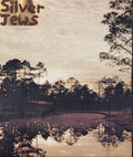 Silver Jews - Starlite Walker - Vinyl Record