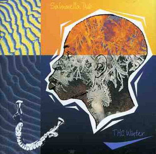 Salmonella Dub - Thc Winter - Music CD
