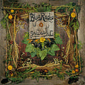 Blue Rodeo - Greatest Hits - Music CD
