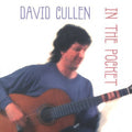 Cullen,david - In The Pocket - Music CD