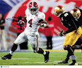 T. J. Yeldon Signed Alabama Crimson Tide Football 8x10 Photo PSA Autographed