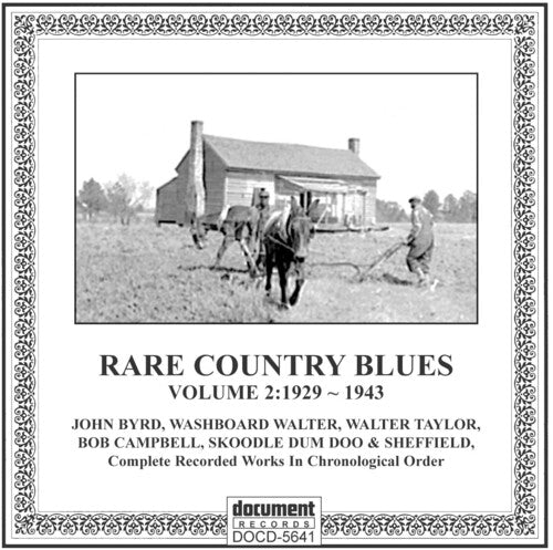 Rare Country Blues 2: 1929-1943 / Various - Rare Country Blues 2: 1929-1943 / Various - Music CD