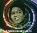Brown,james - Remixing Mister Brown - Music CD