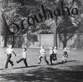 Brouhaha / Various - Brouhaha / Various - Vinyl Record