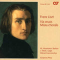 Liszt / Meller / Lucking / Gruber / Wenk / Prinz - Via Crucis / Missa Choralis - Music CD
