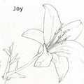 Joy - Joy - Music CD