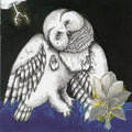 Songs: Ohia - Magnolia Electric Co - Music CD