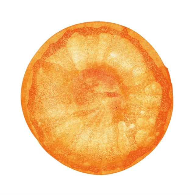Uchu (Universe): The Best Of Fishmans (2LP/Clear Orange Vinyl)