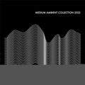 Medium Ambient Collection 2022 (2LP)