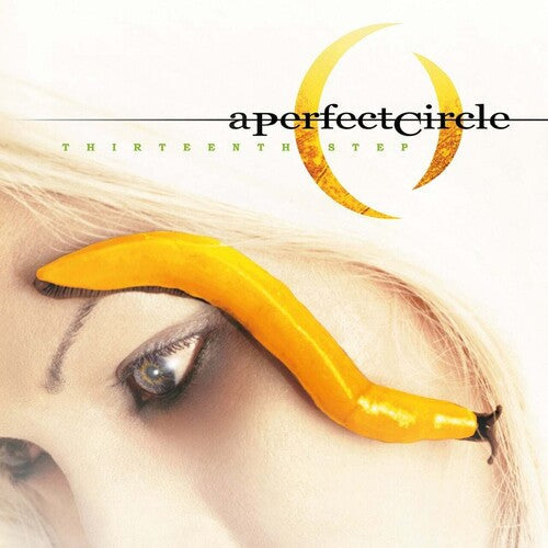 A Perfect Circle - Thirteenth Step [2LP]