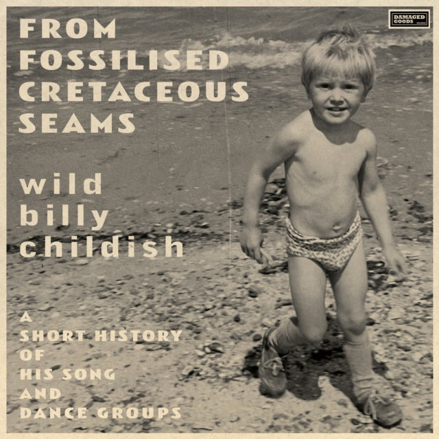 From Fossilised Cretaceous Seams: A Short History Of His Song & Dance Groups (2LP) Vinyl Record