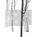 Systema Naturae I